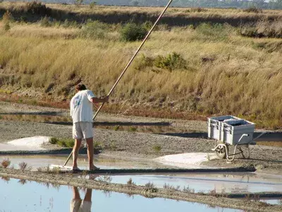 Le sel fait-il grossir ?